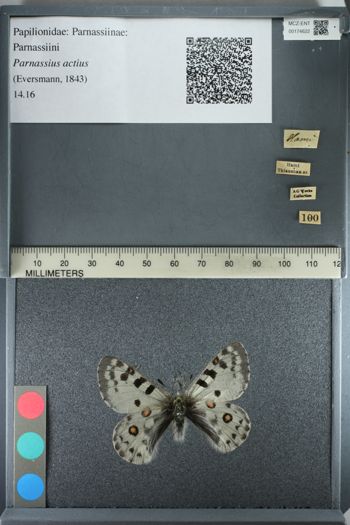 Media type: image;   Entomology 174622